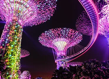 Trip Packages - 必赢体育APP