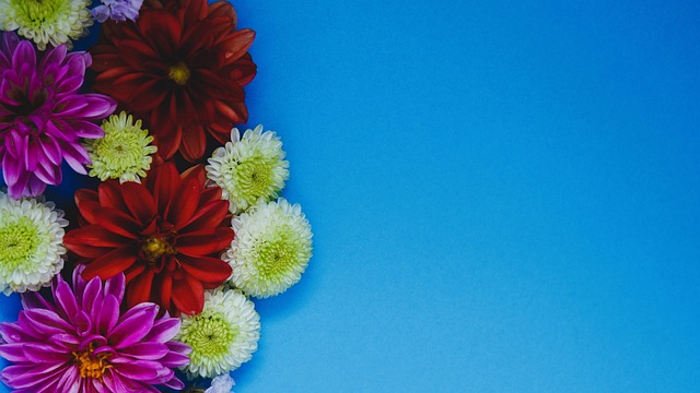 体坛主播 ｜ 山东男篮今晚战四川，世预赛国足明迎战澳大利亚.