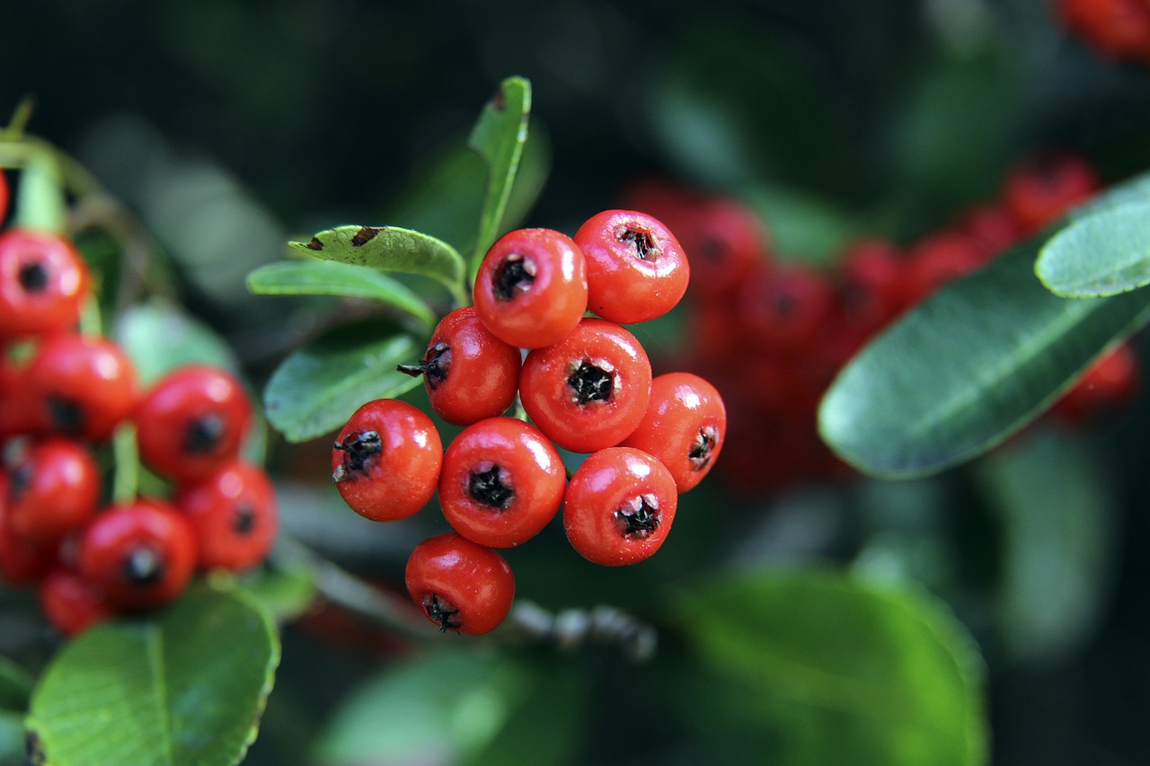 体坛主播 ｜ 山东男篮今晚战四川，世预赛国足明迎战澳大利亚.