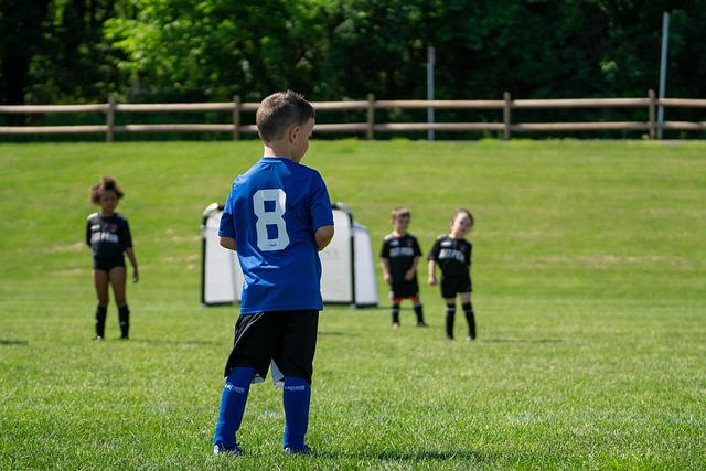 如今人声鼎 如今人声鼎