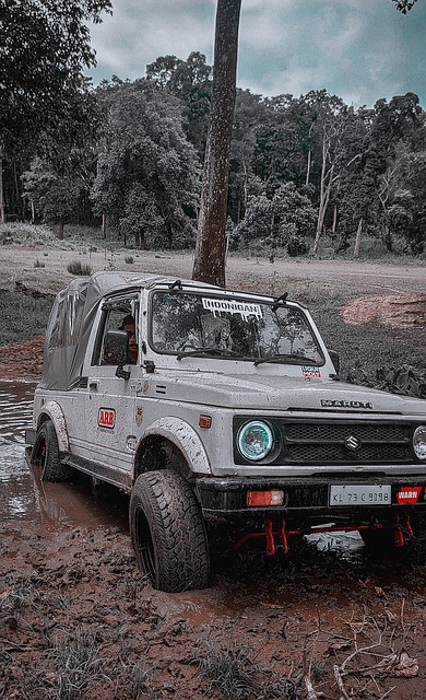 未来几年发 未来几年发